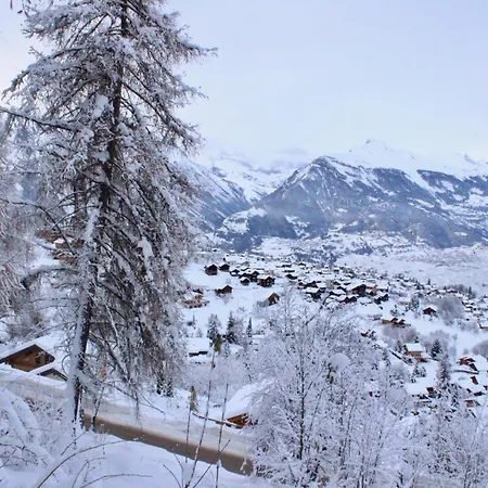 Appartement Modern With Balcony Nendaz